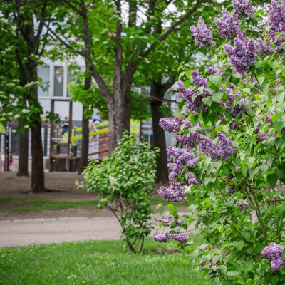 ASTRA Project Announces Open Access Online Learning Material: Shaping an Ecosocial Future Now!